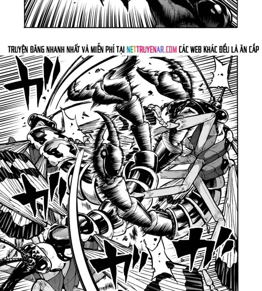đảo côn trùng Chapter 77 17