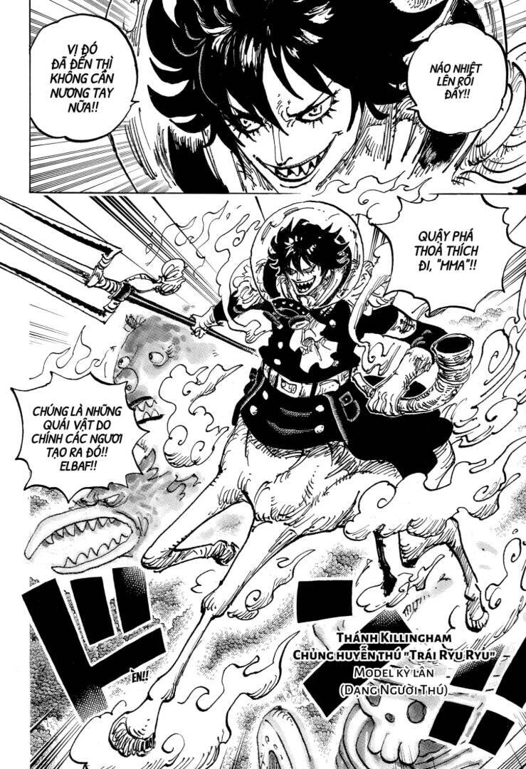 Đảo Hải Tặc Chapter 1151 - Trang 2