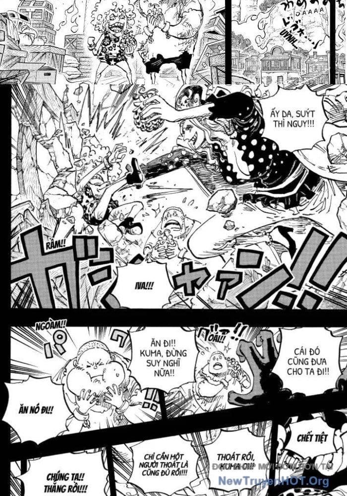 Đảo Hải Tặc Chapter 1162.5 - Trang 2