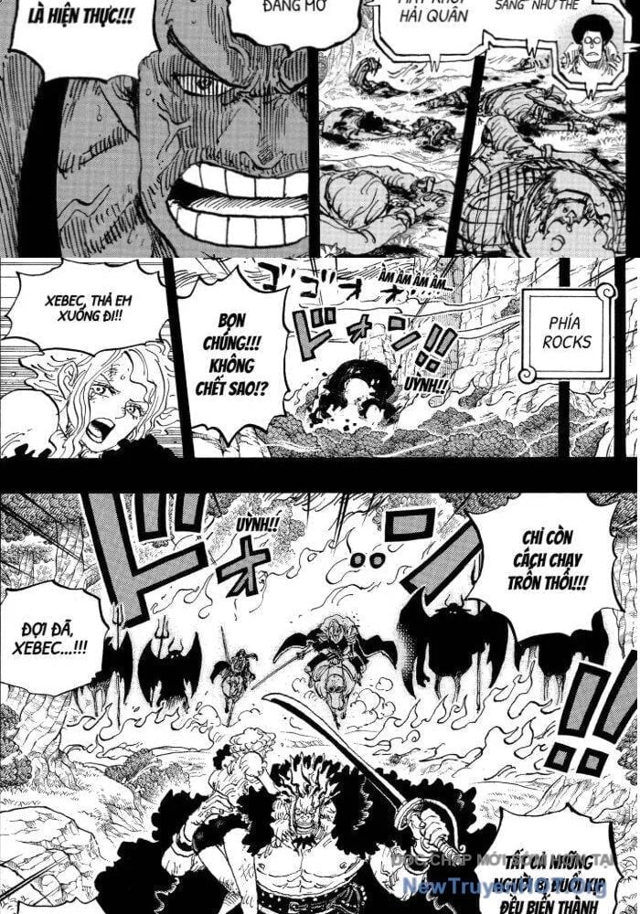 Đảo Hải Tặc Chapter 1162.5 - Trang 2