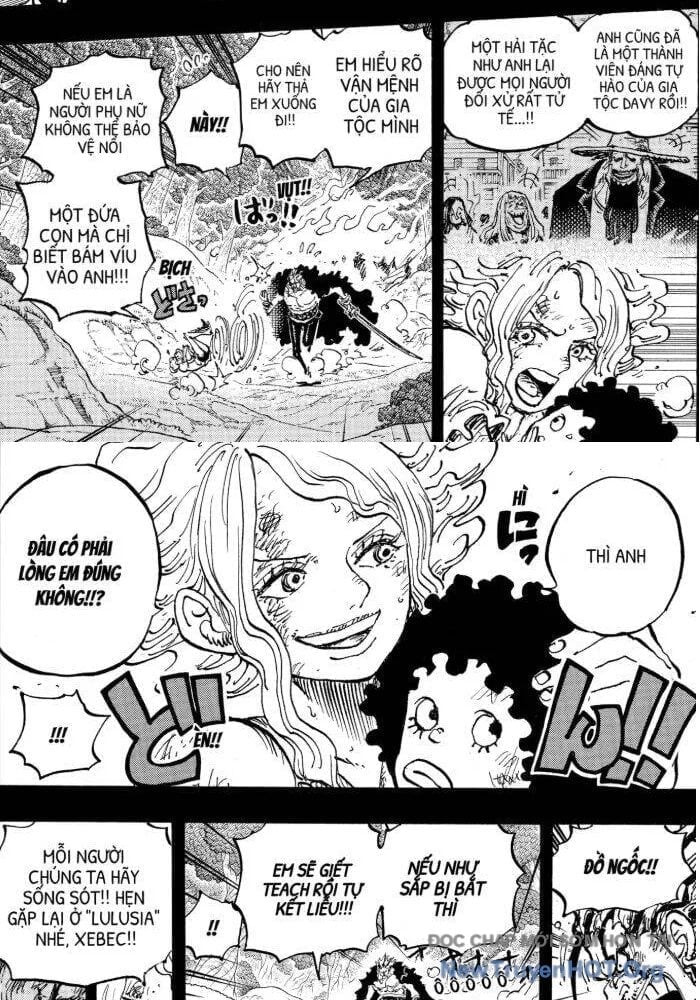 Đảo Hải Tặc Chapter 1162.5 - Trang 2