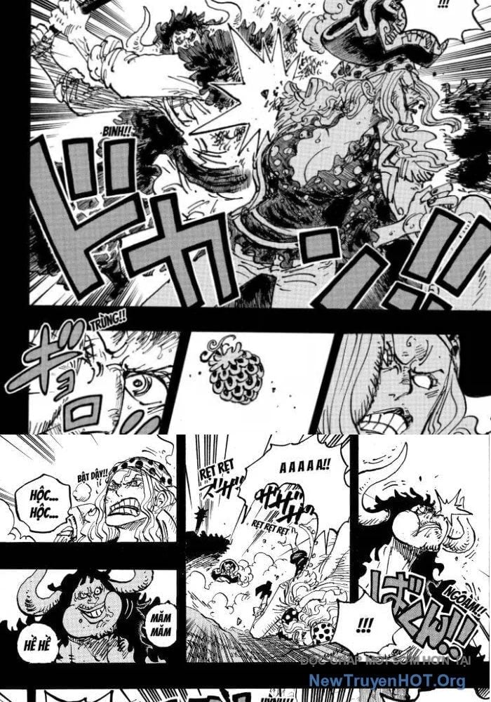 Đảo Hải Tặc Chapter 1162.5 - Trang 2