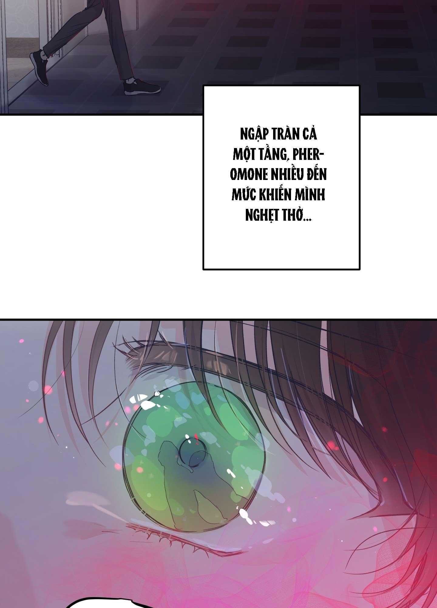 ĐẢO NGƯỢC CỦA ĐẢO NGƯỢC Chapter 61 - Trang 3