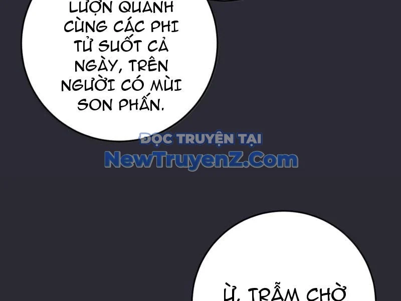 Đập Vỡ Hoàng Đế Nữ Nhi Thân Chapter 45 - Trang 2