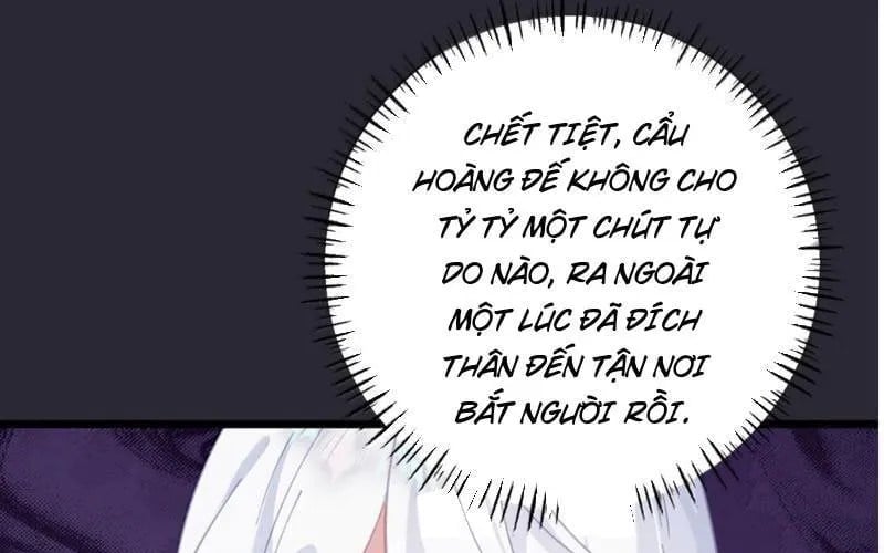 Đập Vỡ Hoàng Đế Nữ Nhi Thân Chapter 65 97