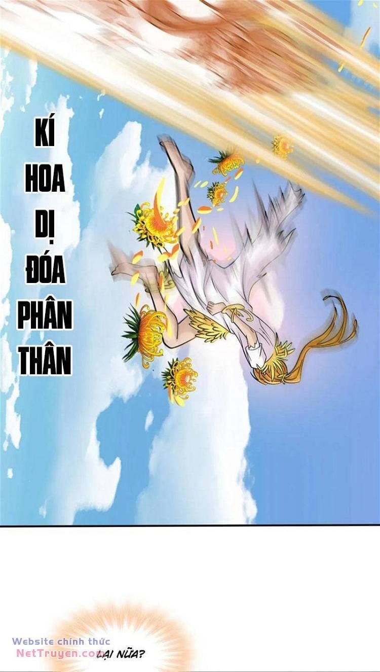 Đấu La Đại Lục Chapter 449 - Trang 2