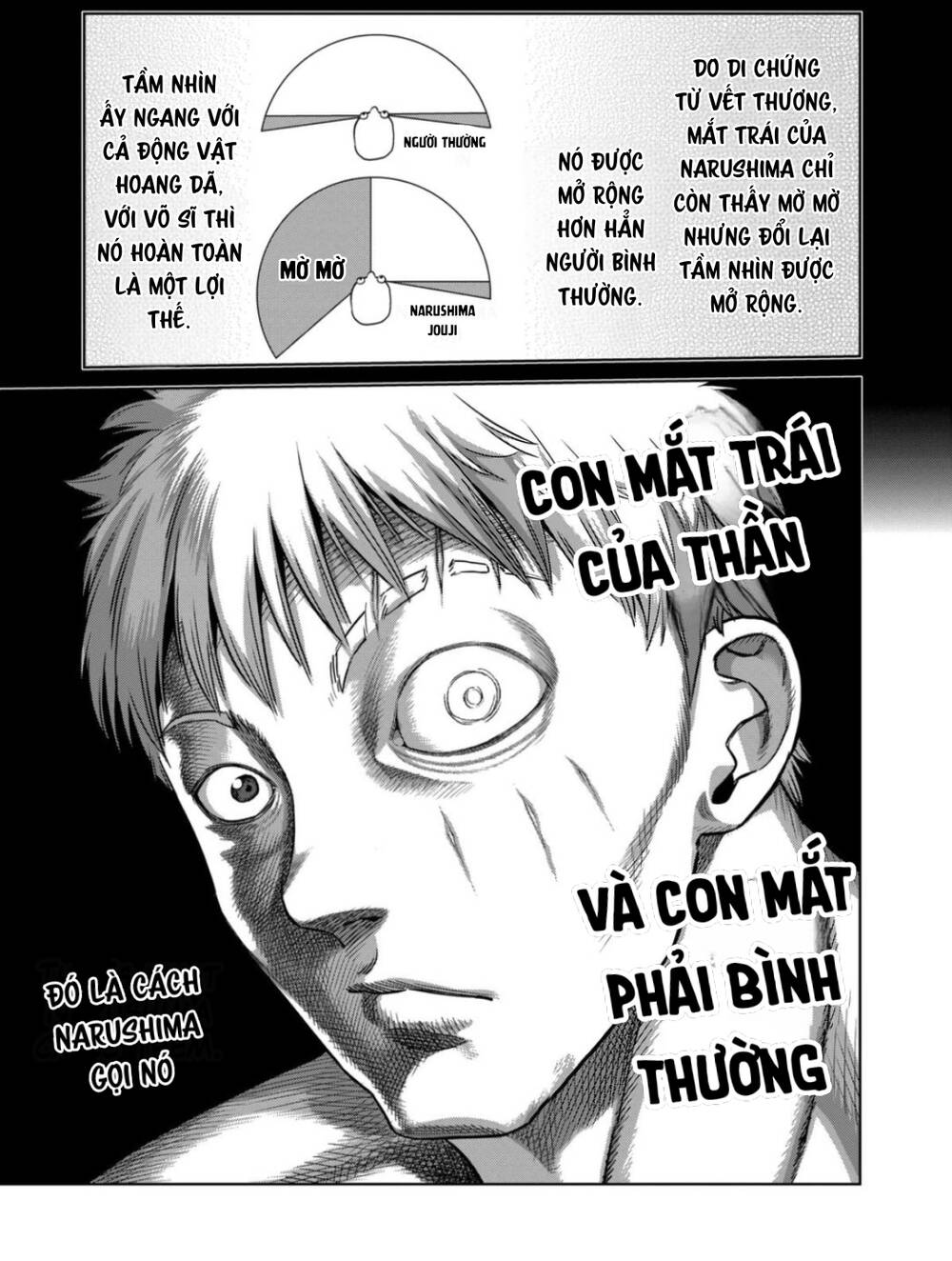 Đấu Trường Ngầm Chapter 299 - Trang 2