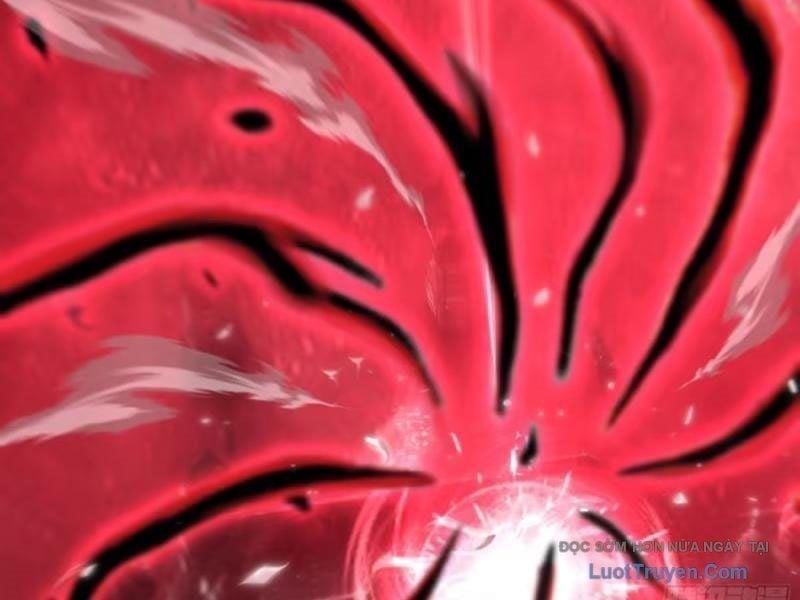 Đệ Nhất Ngự Thú Sư Chapter 103 - Trang 2