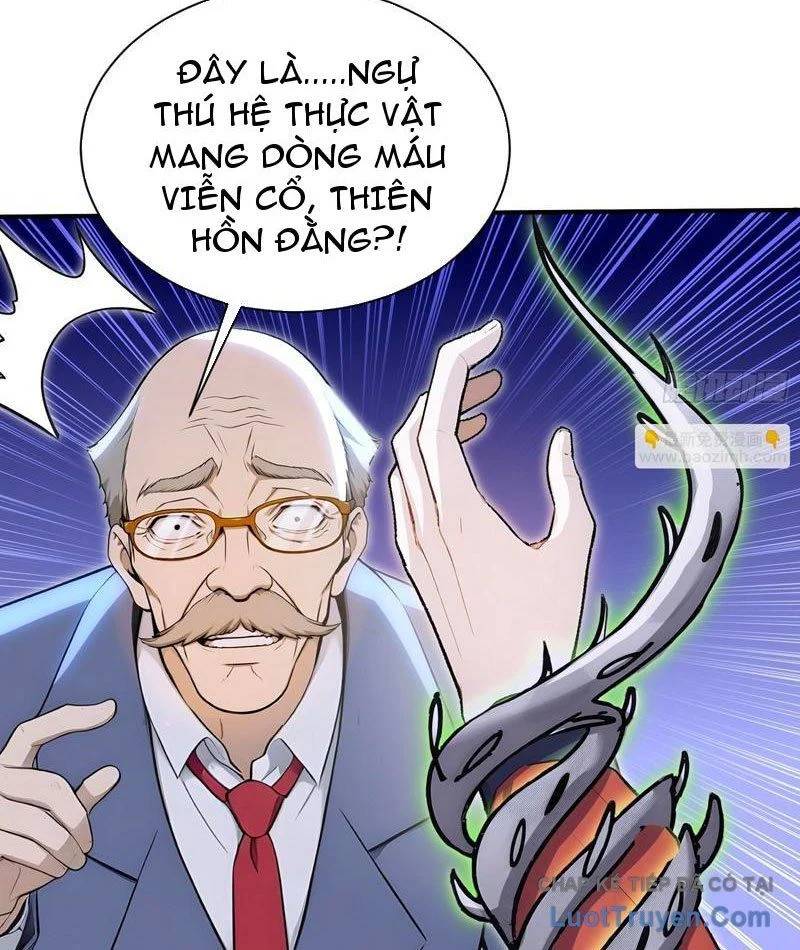 Đệ Nhất Ngự Thú Sư Chapter 115 - Trang 2