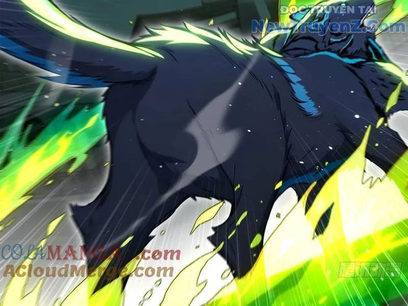 Đệ Nhất Ngự Thú Sư Chapter 59 - Trang 2