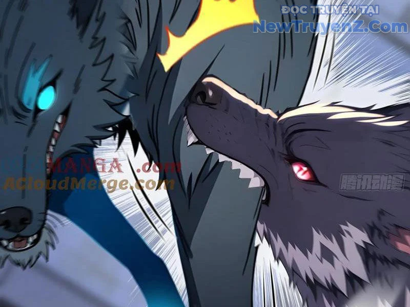 Đệ Nhất Ngự Thú Sư Chapter 62 - Trang 3