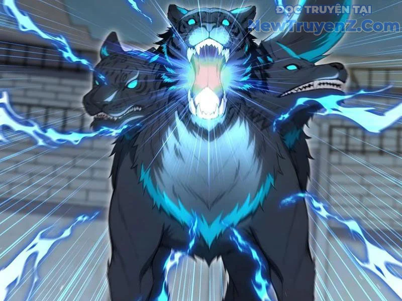 Đệ Nhất Ngự Thú Sư Chapter 62 - Trang 3