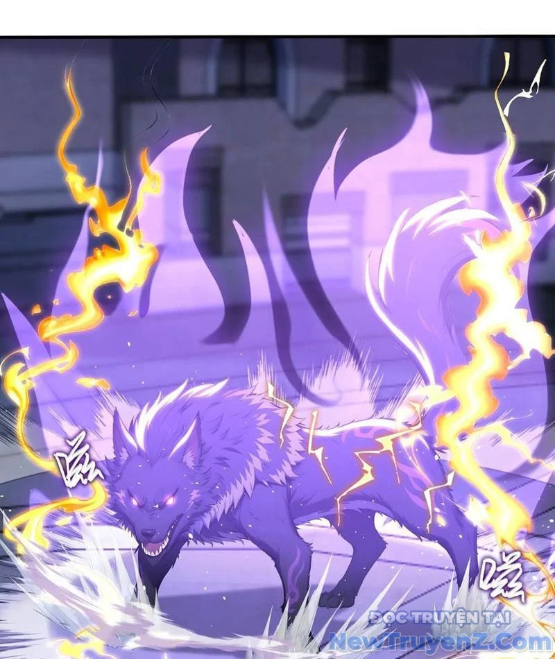 Đệ Nhất Ngự Thú Sư Chapter 63 - Trang 2