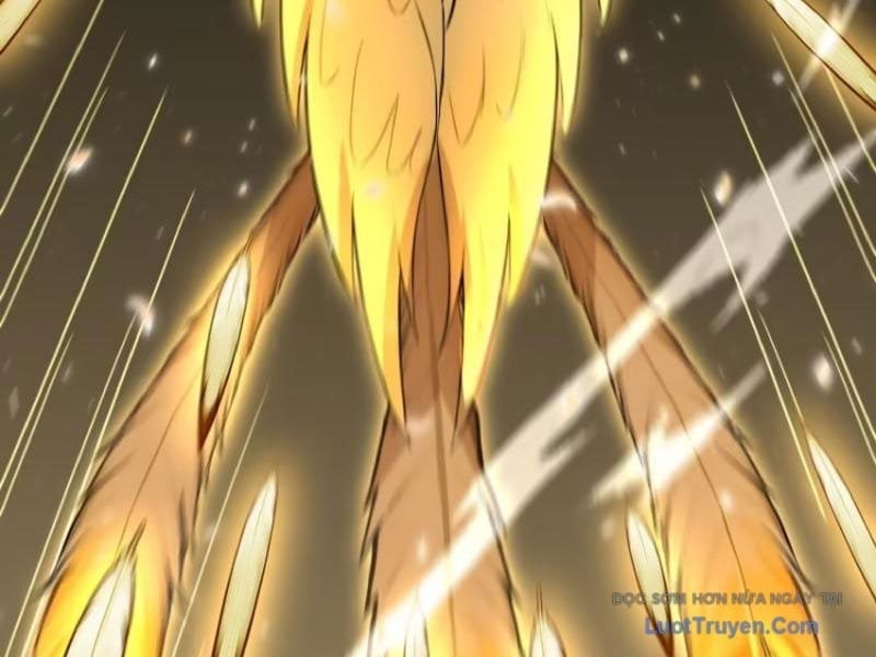 Đệ Nhất Ngự Thú Sư Chapter 98 - Trang 2