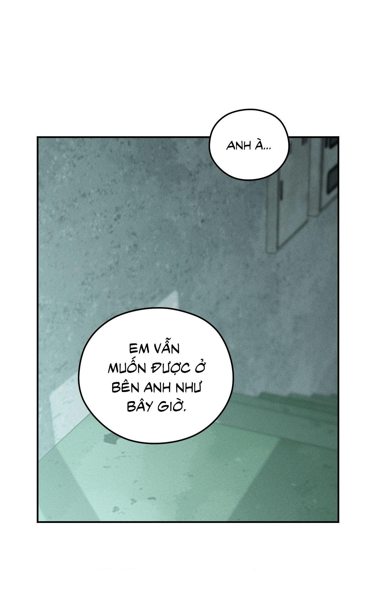 DEAR, TEDDY BEAR Chapter 48 - Trang 3