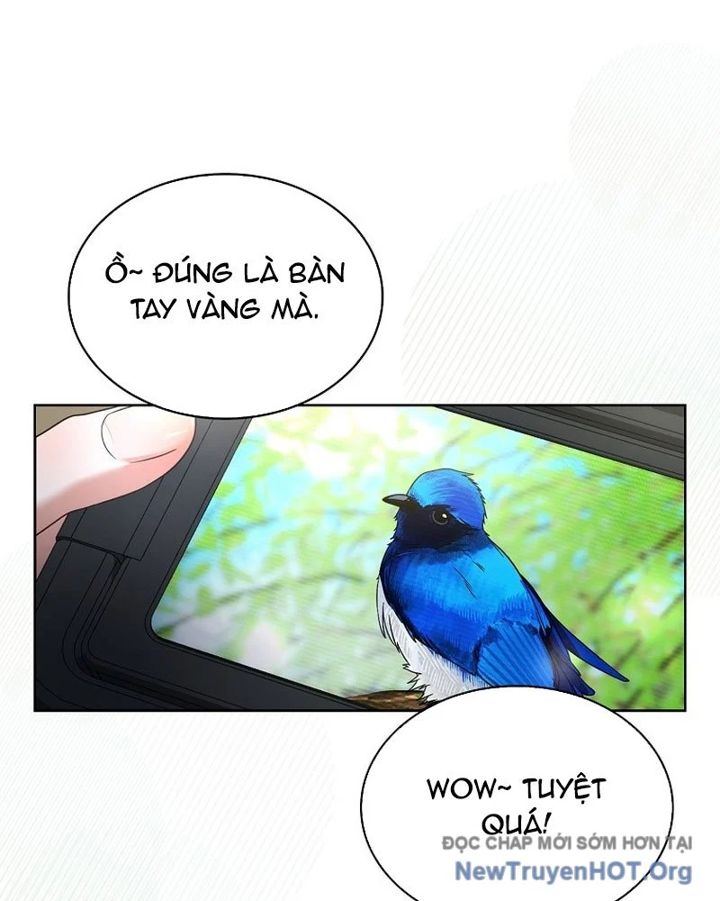 Debut Or Die Chapter 80 - Next 