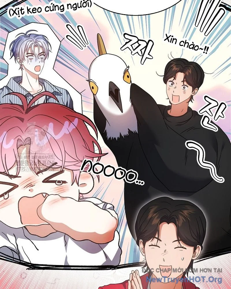 Debut Or Die Chapter 80 - Next 