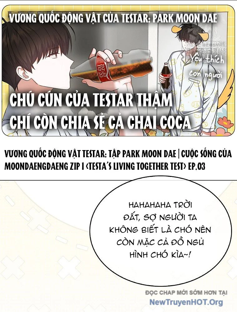 Debut Or Die Chapter 81 - Next 
