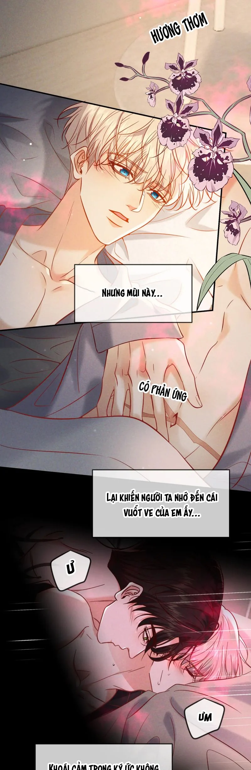 Đêm Tình Yêu Và Sát Ý Chapter 65 - Trang 2