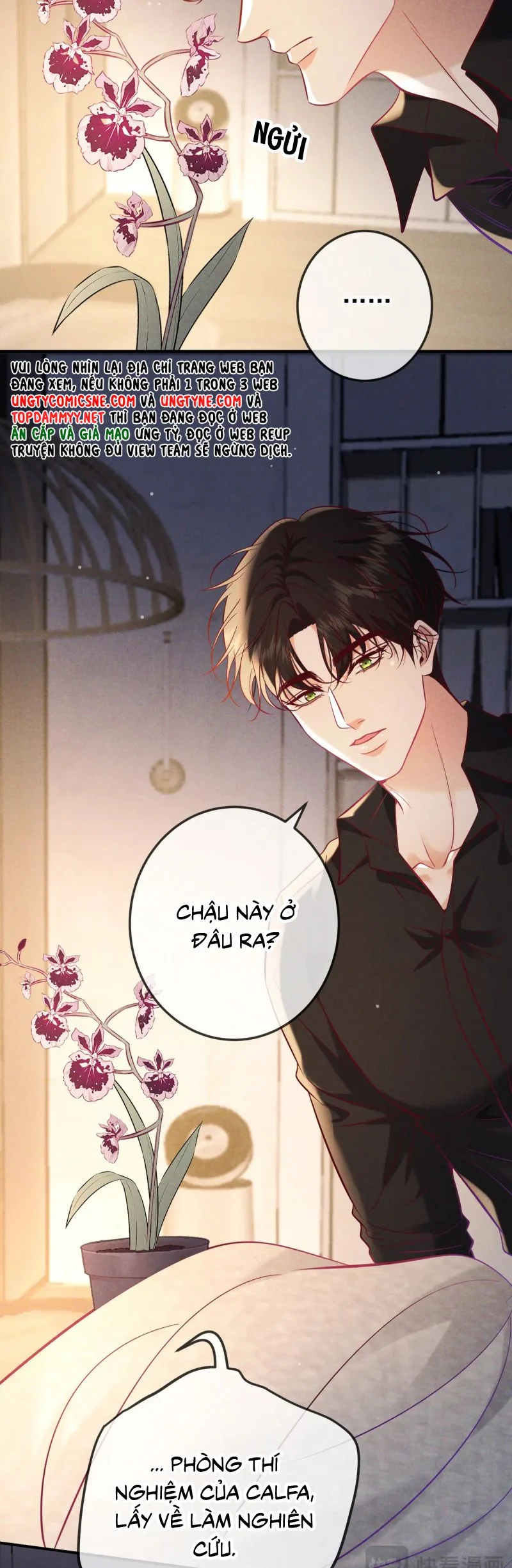 Đêm Tình Yêu Và Sát Ý Chapter 65 - Trang 2