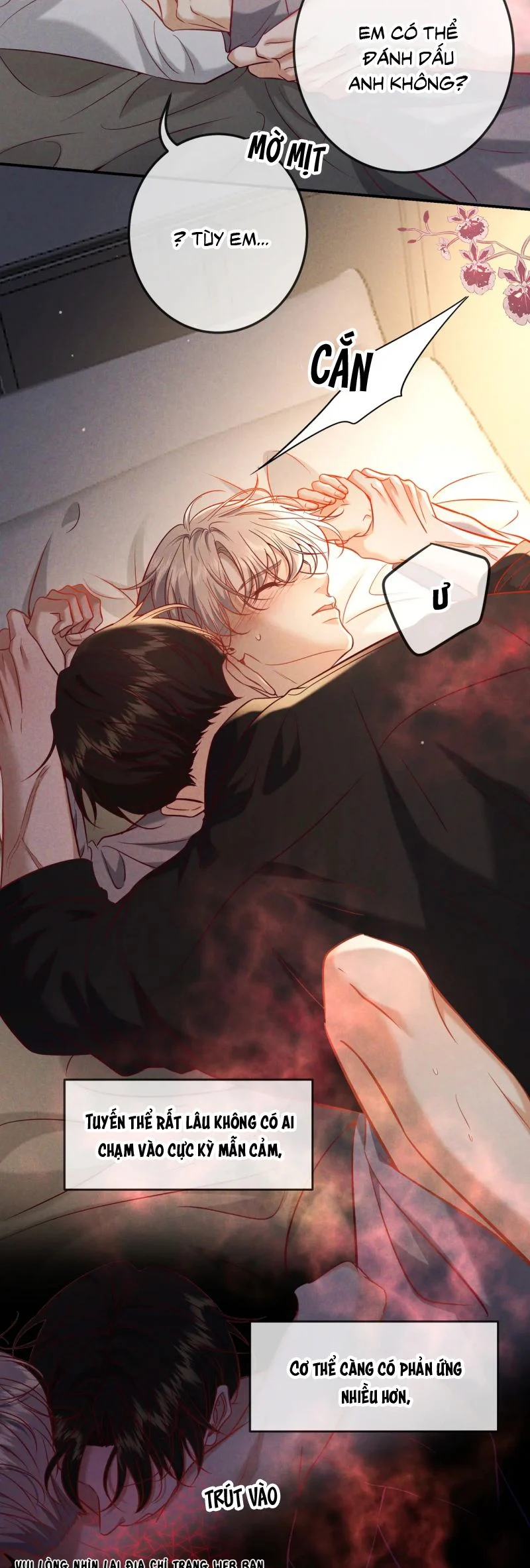 Đêm Tình Yêu Và Sát Ý Chapter 65 - Trang 2
