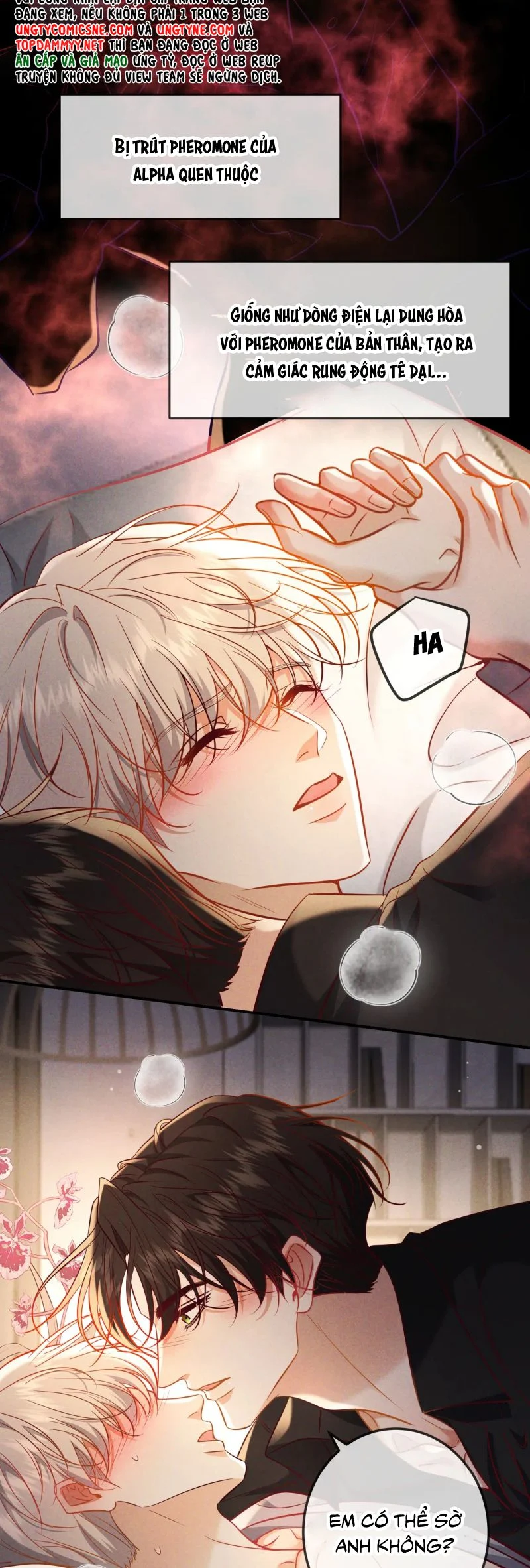 Đêm Tình Yêu Và Sát Ý Chapter 65 - Trang 2