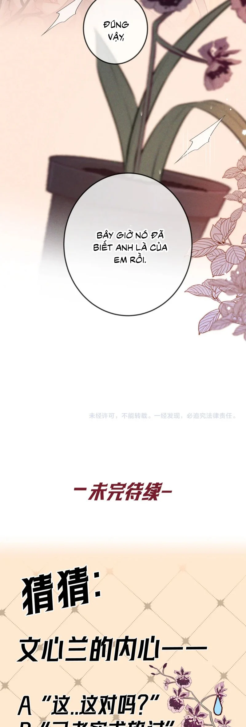 Đêm Tình Yêu Và Sát Ý Chapter 65 - Trang 2