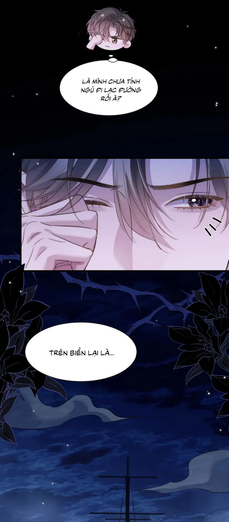 Desharow Nhân Ngư Chapter 104 11