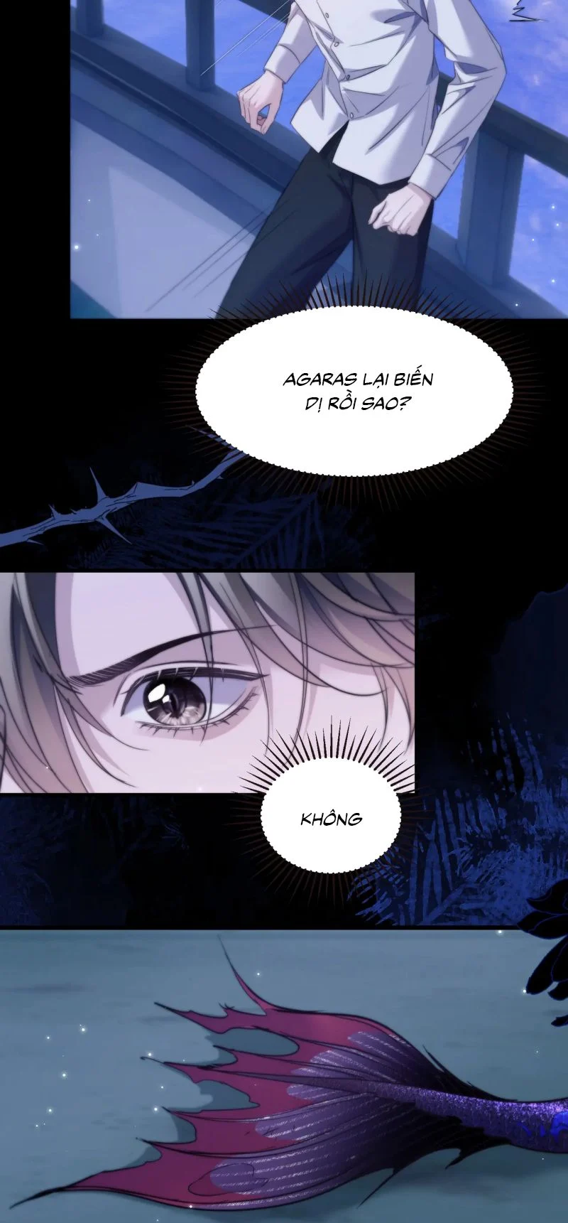 Desharow Nhân Ngư Chapter 104 17
