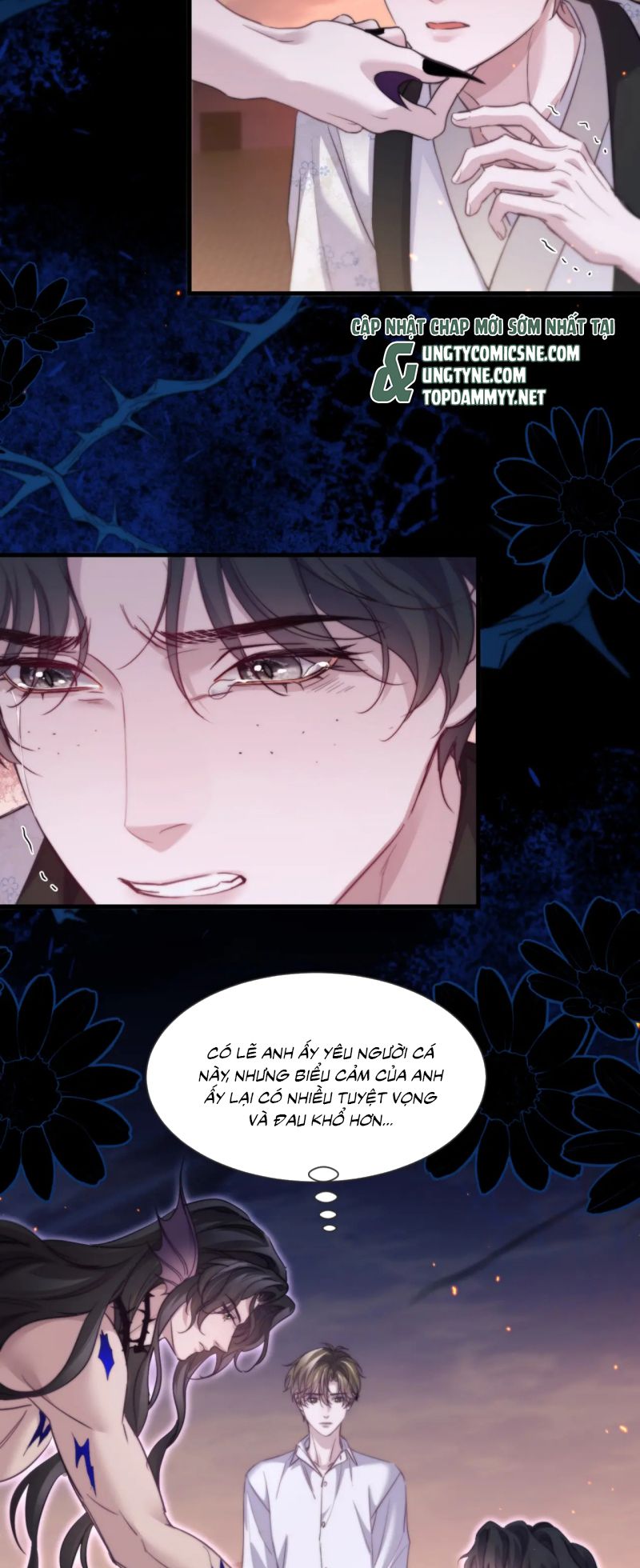 Desharow Nhân Ngư Chapter 105 5