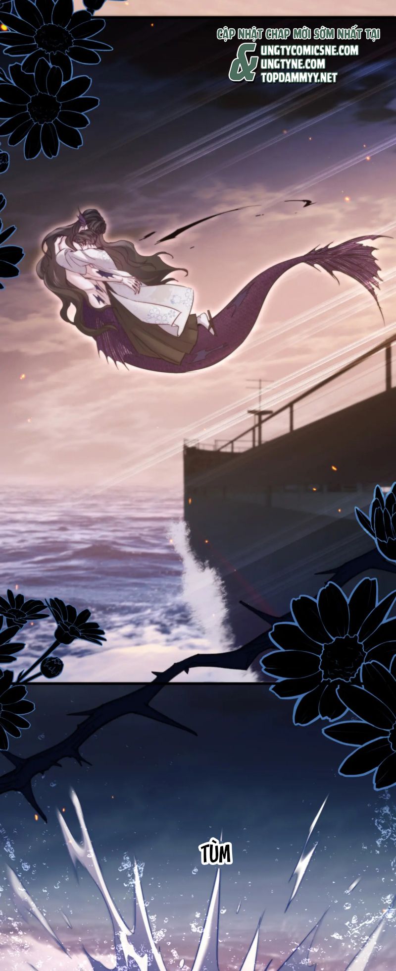 Desharow Nhân Ngư Chapter 105 9