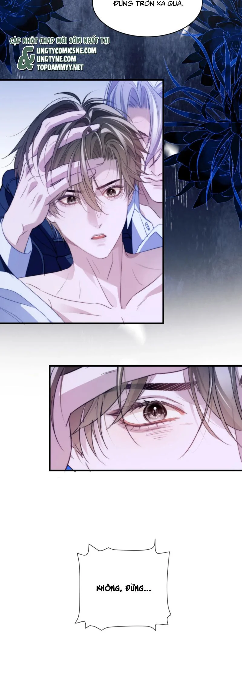Desharow Nhân Ngư Chapter 95 - Trang 2