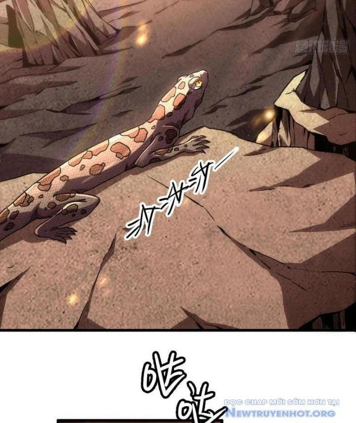 Dị Biến Giáng Lâm Nhân Gian: Triệu Hoán Chi Chủ! Chapter 1 6