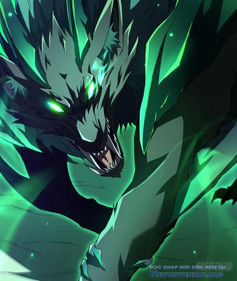 Dị Biến Giáng Lâm Nhân Gian: Triệu Hoán Chi Chủ! Chapter 4 77