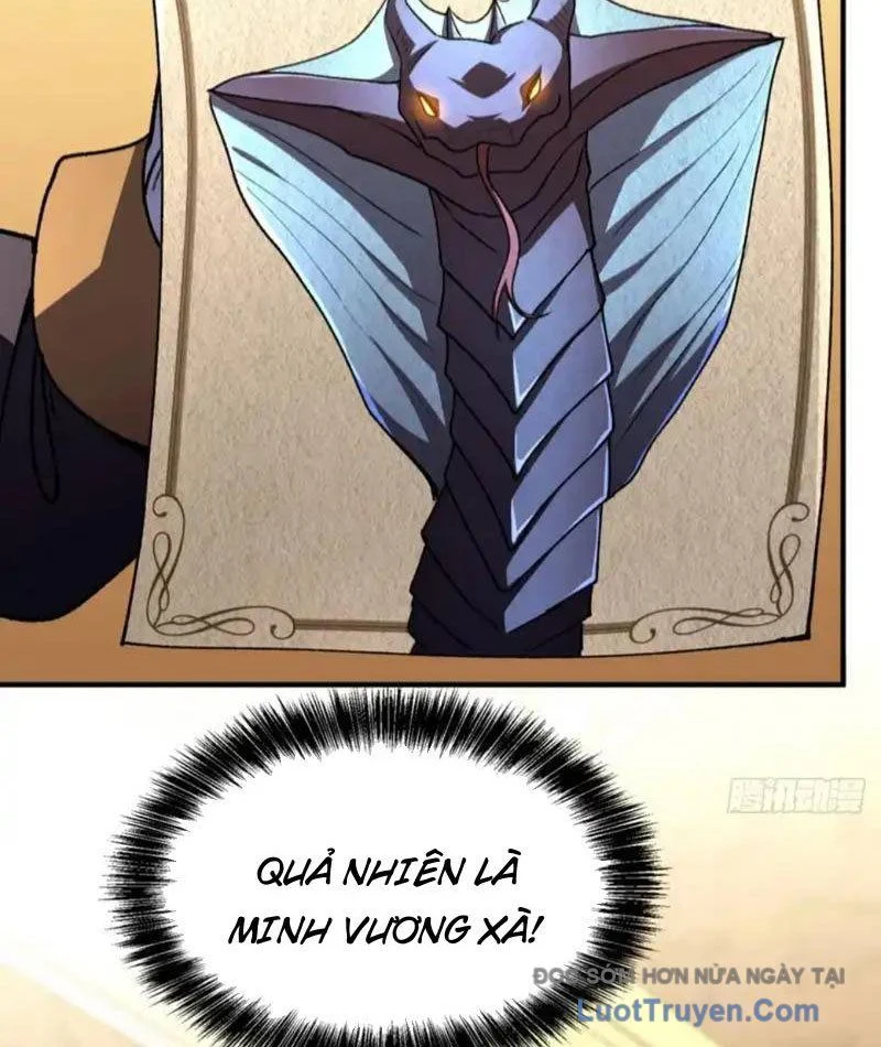 Dị Biến Giáng Lâm Nhân Gian: Triệu Hoán Chi Chủ! Chapter 62 - Trang 2