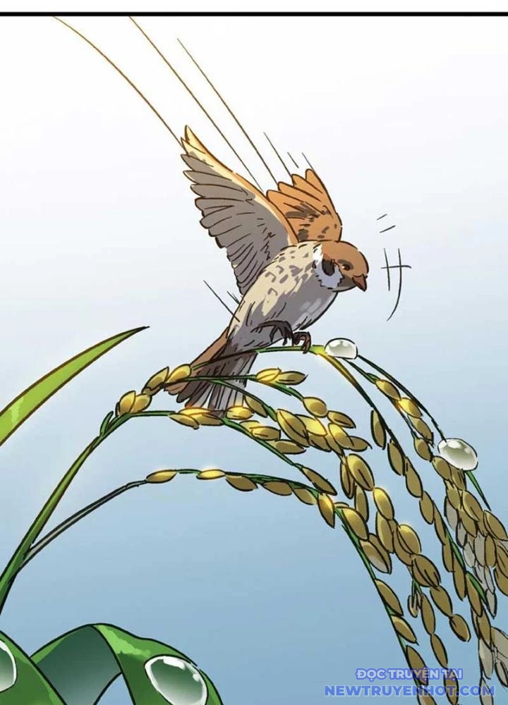 Dị Giới Kiến Tạo Tối Cường Thiếu Lâm Tự Chapter 55 - Trang 2