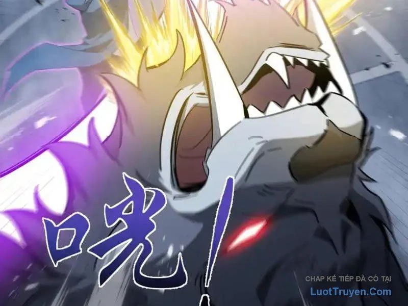 Dị Ngục Bạo Quân: Cái Bóng Của Ta Có Thể Tiến Hóa Vô Hạn Chapter 60 - Trang 2