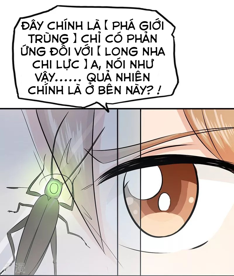 Địa Ngục Này Ta Mở Ra Đấy Chapter 95 - Trang 4