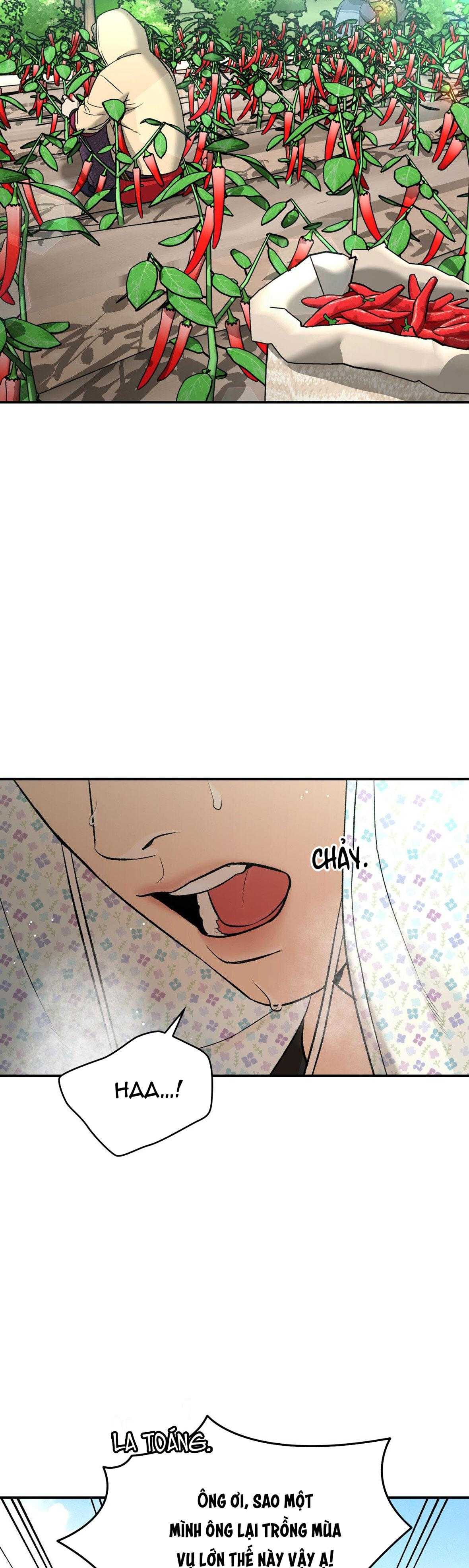 ĐIỀM RỦI Chapter 77 - Trang 3