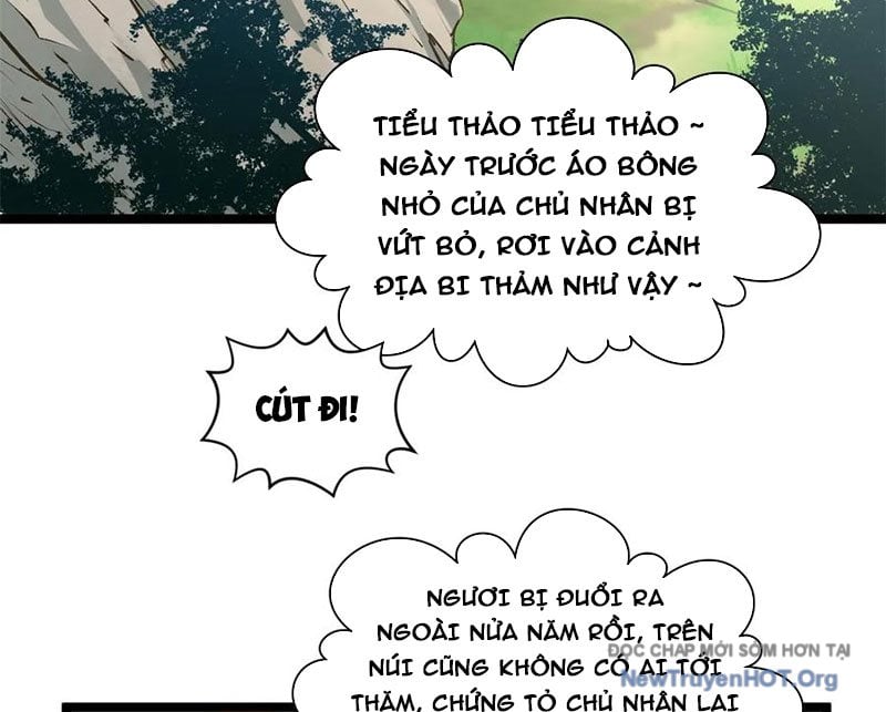 Đỉnh Cấp Khí Vận, Lặng Lẽ Tu Luyện Ngàn Năm Chap 273 - Trang 2