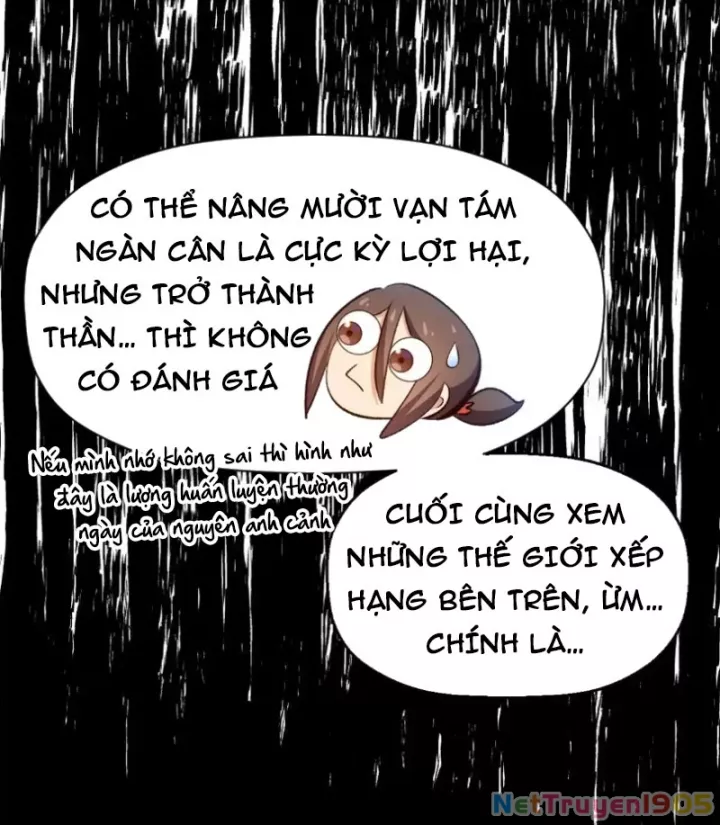 Đỉnh Cấp Khí Vận, Lặng Lẽ Tu Luyện Ngàn Năm Chapter 271 - Next 