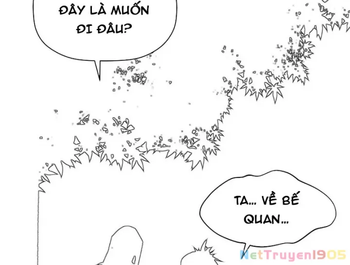 Đỉnh Cấp Khí Vận, Lặng Lẽ Tu Luyện Ngàn Năm Chapter 276 - Trang 2