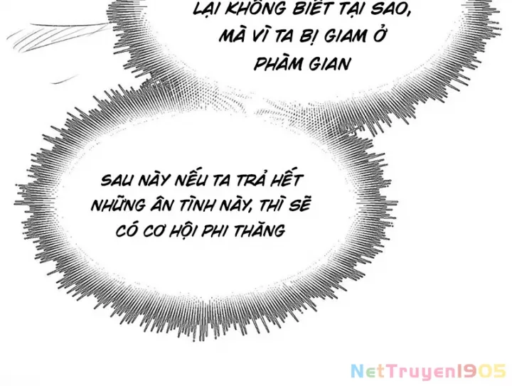 Đỉnh Cấp Khí Vận, Lặng Lẽ Tu Luyện Ngàn Năm Chapter 276 - Trang 2