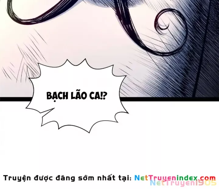 Đỉnh Cấp Khí Vận, Lặng Lẽ Tu Luyện Ngàn Năm Chapter 278 - Trang 2