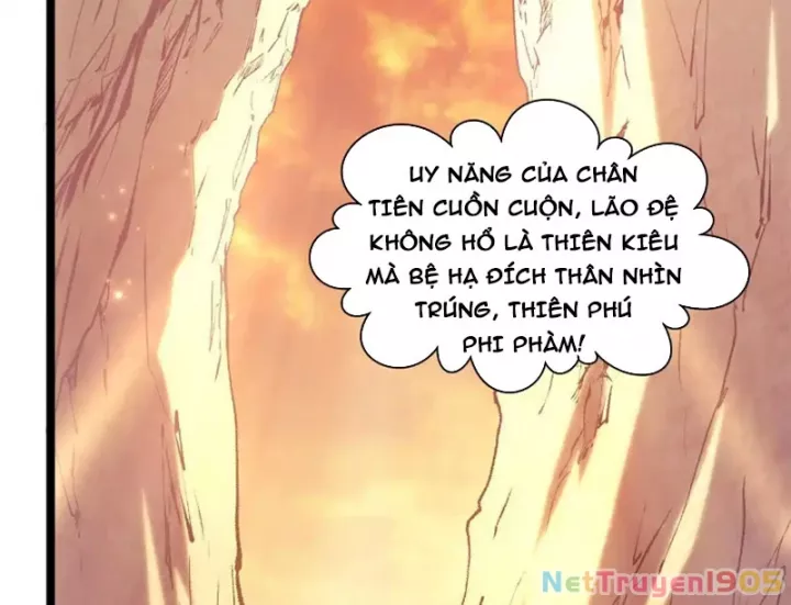 Đỉnh Cấp Khí Vận, Lặng Lẽ Tu Luyện Ngàn Năm Chapter 278 - Trang 2