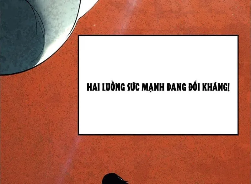 Đỉnh Cấp Khí Vận, Lặng Lẽ Tu Luyện Ngàn Năm Chapter 296 28