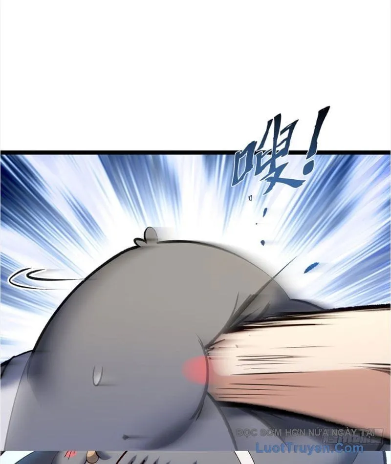 Đỉnh Cấp Khí Vận, Lặng Lẽ Tu Luyện Ngàn Năm Chapter 296 61