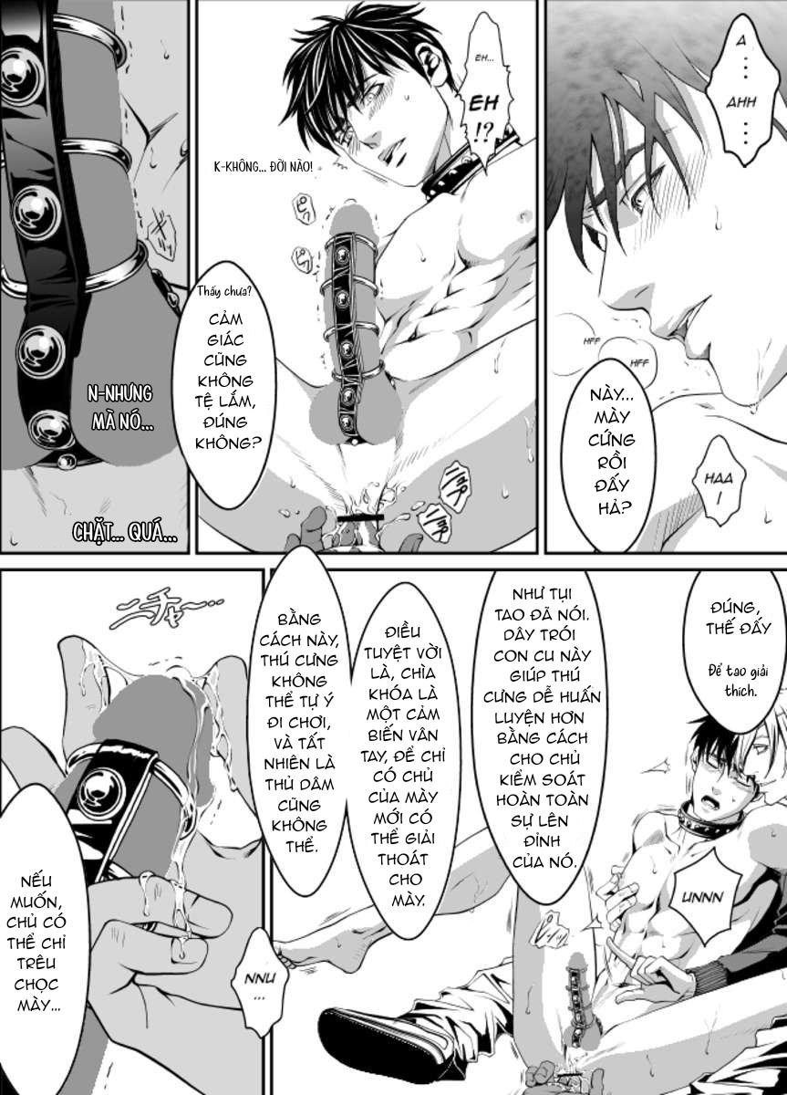 Đồ Chơi Tình Thú Chapter 21 - Trang 3