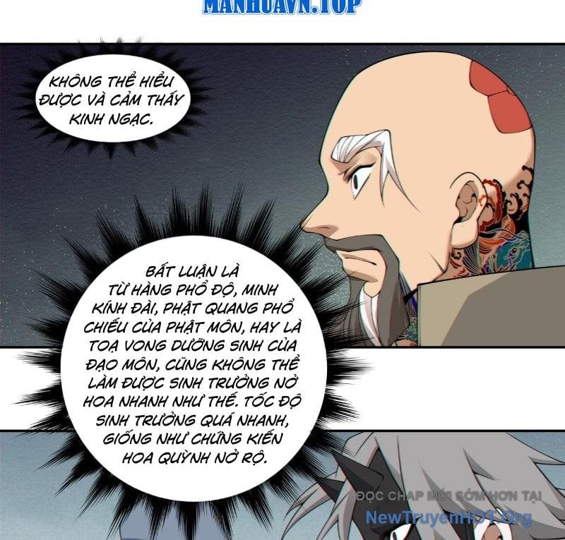 Đồ Đệ Của Ta Đều Là Đại Phản Phái Chapter 411 - Trang 3