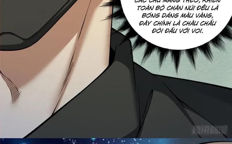 Đồ Đệ Của Ta Đều Là Đại Phản Phái Chapter 429 - Trang 2